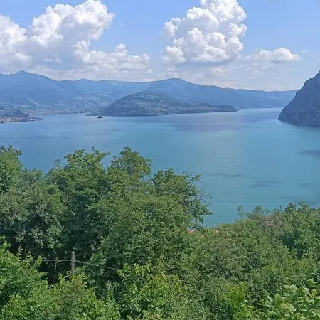 Daniela Daire Solto Collina