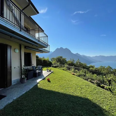 Daniela Solto Collina